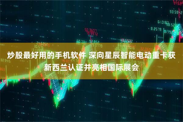 炒股最好用的手机软件 深向星辰智能电动重卡获新西兰认证并亮相国际展会
