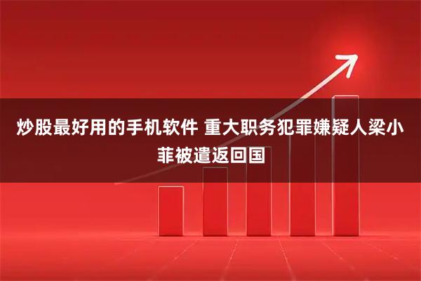 炒股最好用的手机软件 重大职务犯罪嫌疑人梁小菲被遣返回国