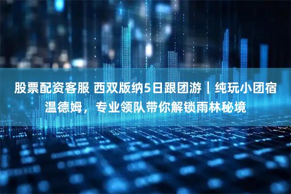 股票配资客服 西双版纳5日跟团游｜纯玩小团宿温德姆，专业领队带你解锁雨林秘境