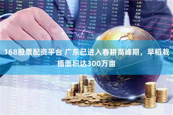 168股票配资平台 广东已进入春耕高峰期，早稻栽插面积达300万亩
